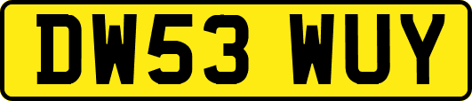 DW53WUY