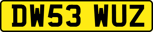 DW53WUZ