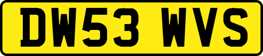 DW53WVS
