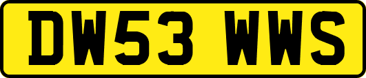 DW53WWS