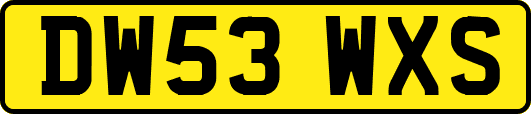 DW53WXS