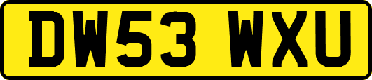 DW53WXU