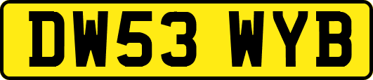 DW53WYB