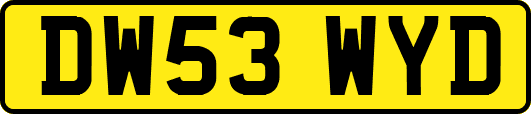 DW53WYD