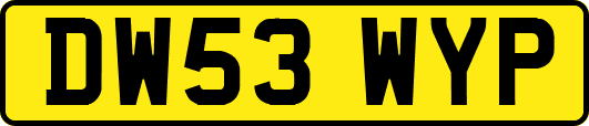 DW53WYP