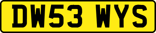 DW53WYS