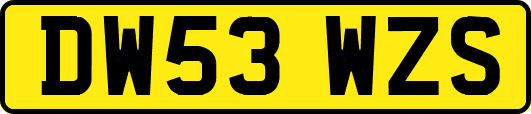 DW53WZS