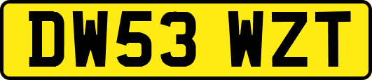 DW53WZT
