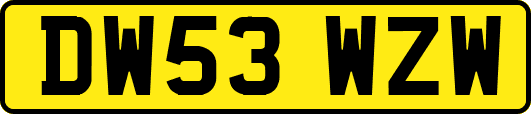 DW53WZW