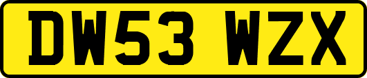 DW53WZX