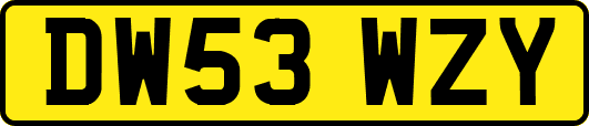 DW53WZY