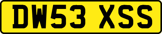 DW53XSS