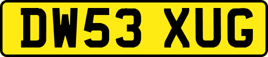 DW53XUG