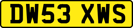 DW53XWS