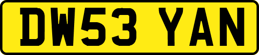 DW53YAN