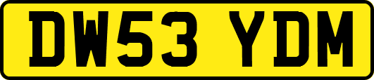 DW53YDM