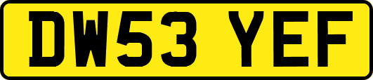 DW53YEF