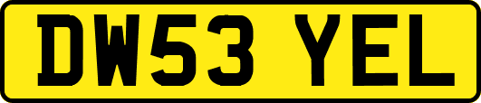 DW53YEL