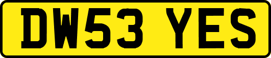 DW53YES