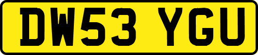 DW53YGU