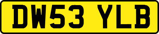 DW53YLB