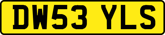DW53YLS