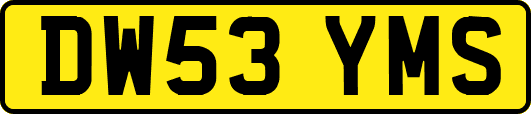 DW53YMS