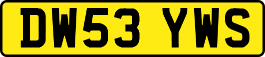 DW53YWS