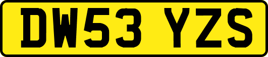 DW53YZS