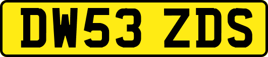 DW53ZDS