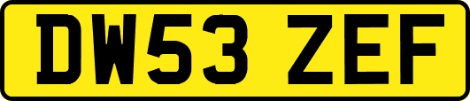 DW53ZEF