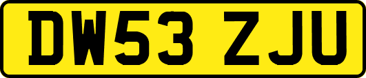 DW53ZJU