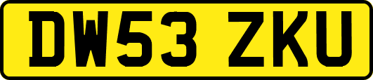 DW53ZKU