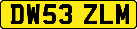 DW53ZLM