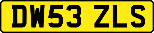 DW53ZLS