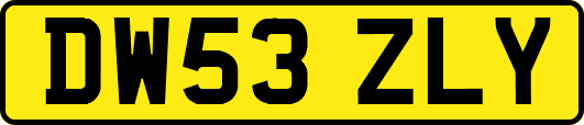 DW53ZLY