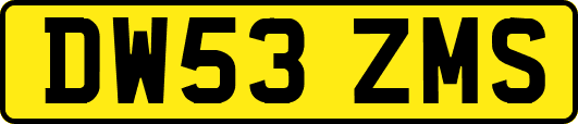 DW53ZMS