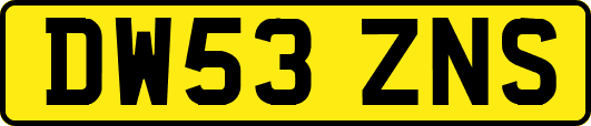 DW53ZNS