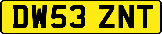 DW53ZNT