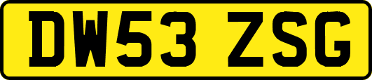 DW53ZSG