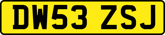 DW53ZSJ