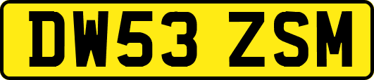 DW53ZSM