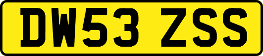 DW53ZSS