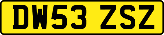 DW53ZSZ
