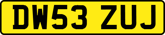 DW53ZUJ