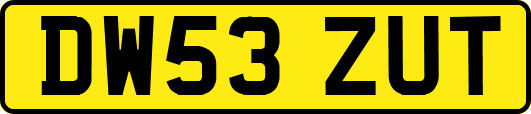 DW53ZUT