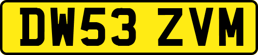 DW53ZVM
