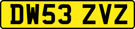 DW53ZVZ