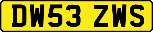 DW53ZWS