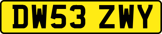 DW53ZWY